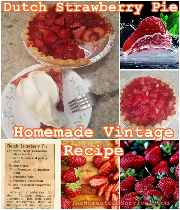 Dutch Strawberry Pie Homemade Vintage Recipe - Old Fashioned Baking - The Homestead Survival