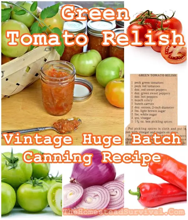 Green Tomato Relish Vintage Huge Batch Canning Recipe - The Homestead Survival