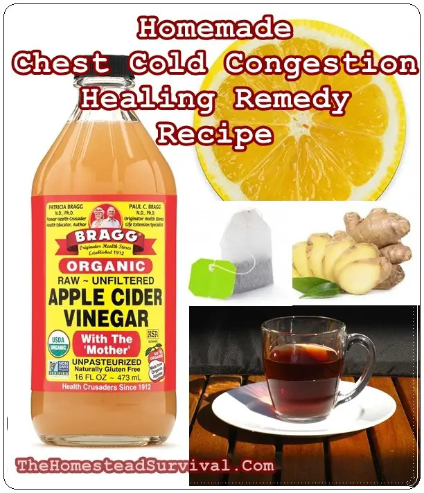 Homemade Chest Cold Congestion Healing Remedy Recipe - Home Remedies - Natural Healing Medicine 