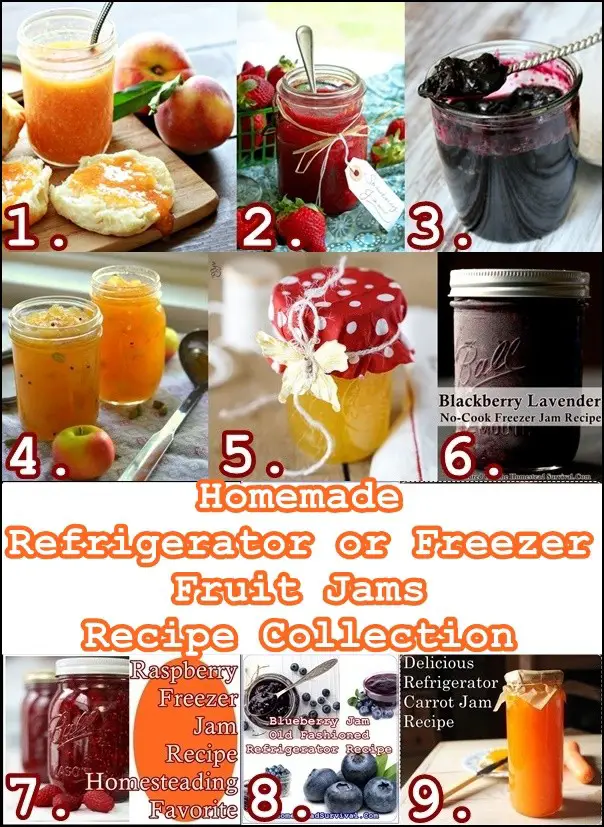 Homemade Refrigerator or Freezer Fruit Jams Recipe Collection - The Homestead Survival
