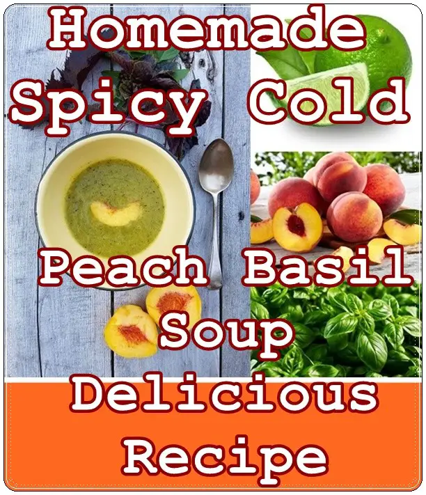 Homemade Spicy Cold Peach Basil Soup Delicious Recipe - Summer - The Homestead Survival