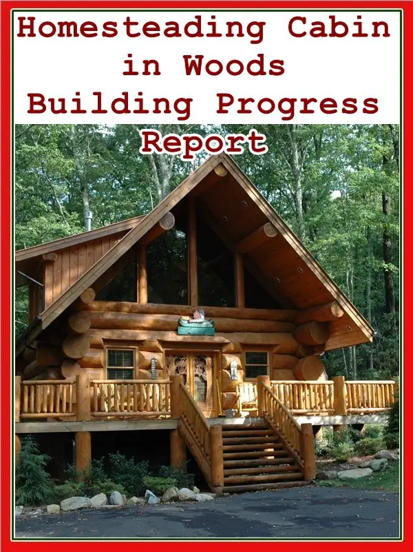 Homesteading Cabin in Woods Building Progress Report - House - Home