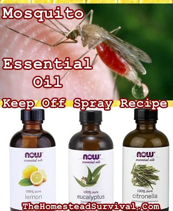 Mosquito Essential Oil Keep Off Spray Recipe - The Homestead Survival 