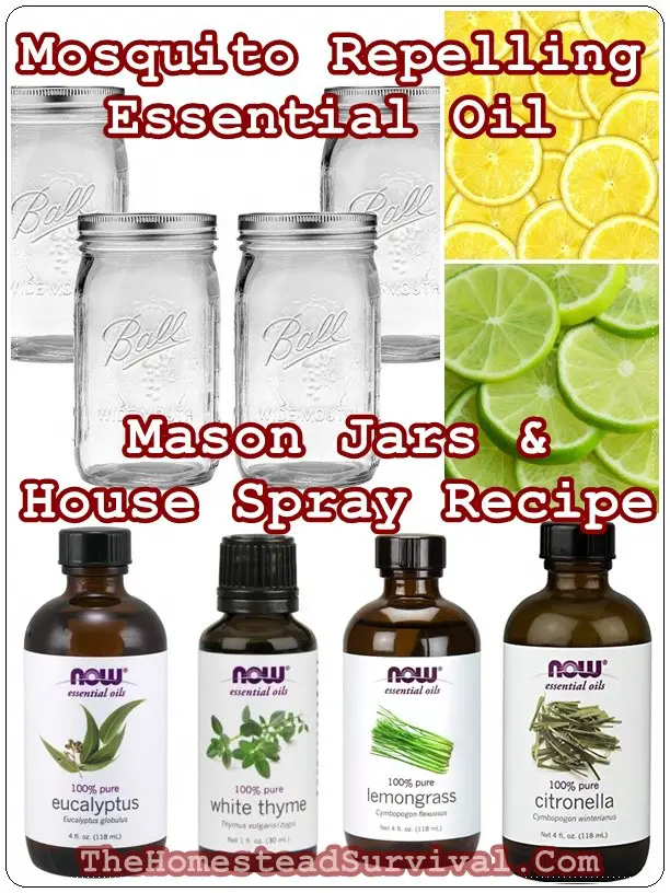 Mosquito Repelling Essential Oil Mason Jars and House Spray Recipe - The Homestead Survival - Pest Control