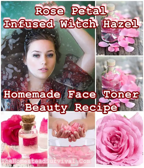 Rose Petal Infused Witch Hazel Homemade Face Toner Beauty Recipe - The Homestead Survival - Natural Beauty Recipe - Skin Care