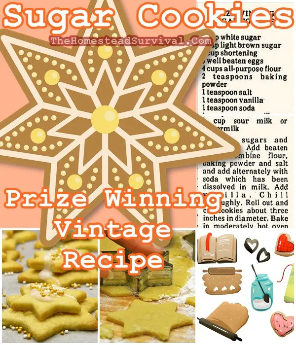 Sugar Cookies Prize Winning Vintage Recipe - The Homestead Survival - Baking 
