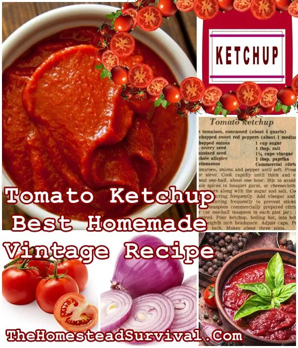 Tomato Ketchup Best Homemade Vintage Recipe - The Homestead Survival