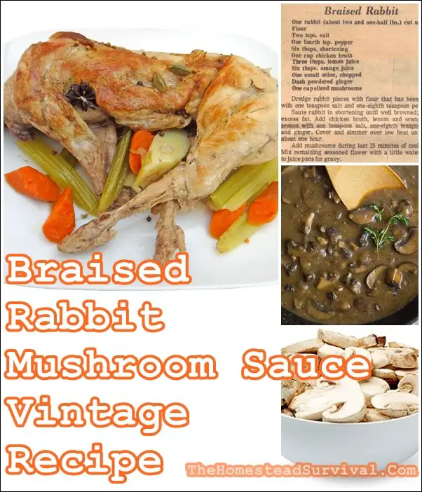 Braised Rabbit with Mushroom Sauce Vintage Recipe - The Homestead Survival - Baked - The Homestead Survival