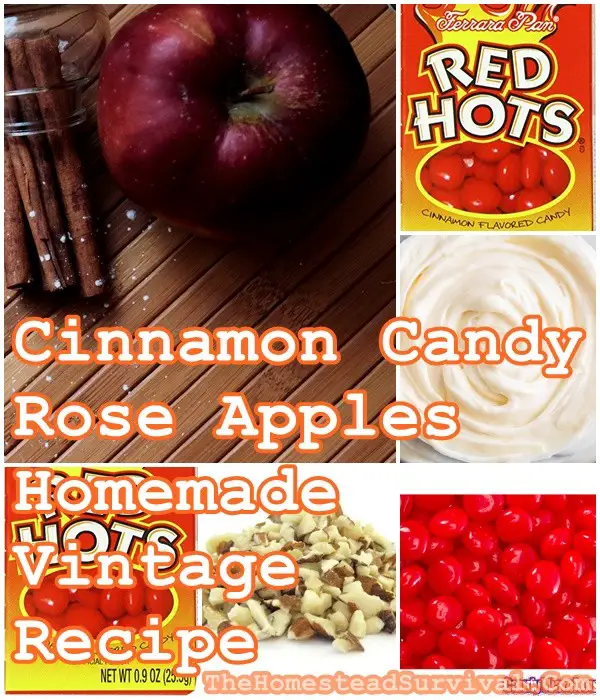 Cinnamon Candy Rose Apples Homemade Vintage Recipe - Old Fashioned Cooking - The Homestead Survival 