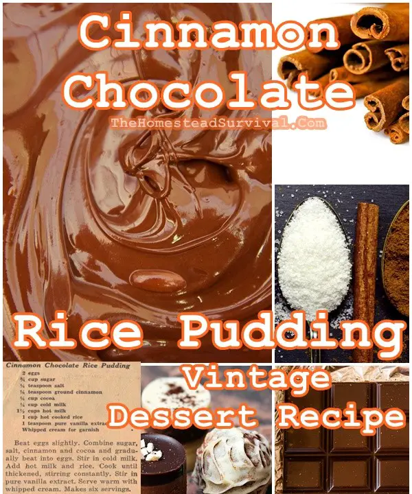 Cinnamon Chocolate Rice Pudding Vintage Dessert Recipe - The Homestead Survival - Old Fashioned Cooking