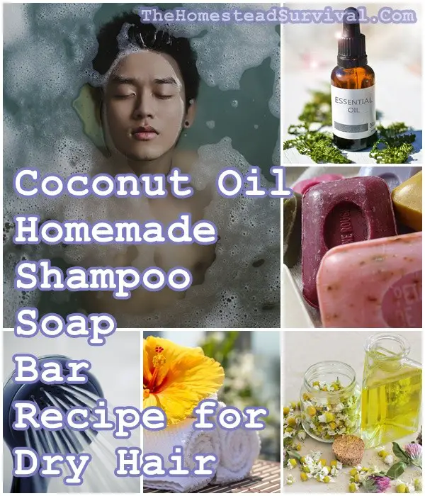 Coconut Oil Homemade Shampoo Bar Recipe for Dry Hair - The Homestead Survival