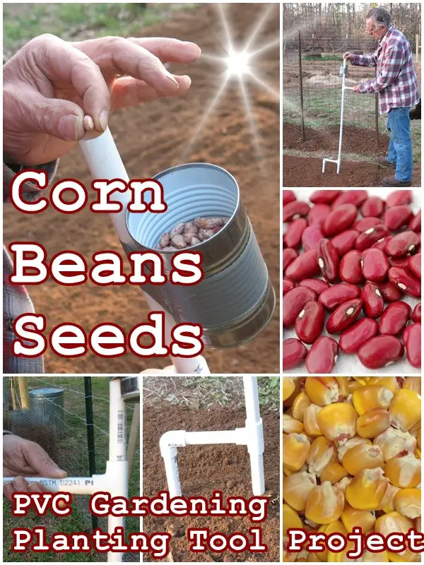 Corn Beans Seeds PVC Gardening Planting Tool Project - The Homestead Survival - Gardening - Homesteading