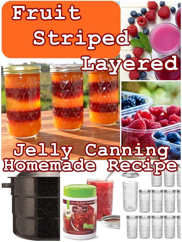 Fruit Striped Layered Jelly Canning Homemade Recipe - The Homestead Survival
