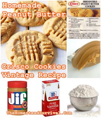 Homemade Peanut Butter Crisco Cookies Vintage Recipe - The Homestead ...