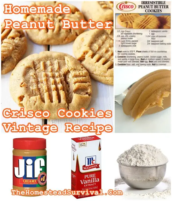 Homemade Peanut Butter Crisco Cookies Vintage Recipe - The Homestead Survival 