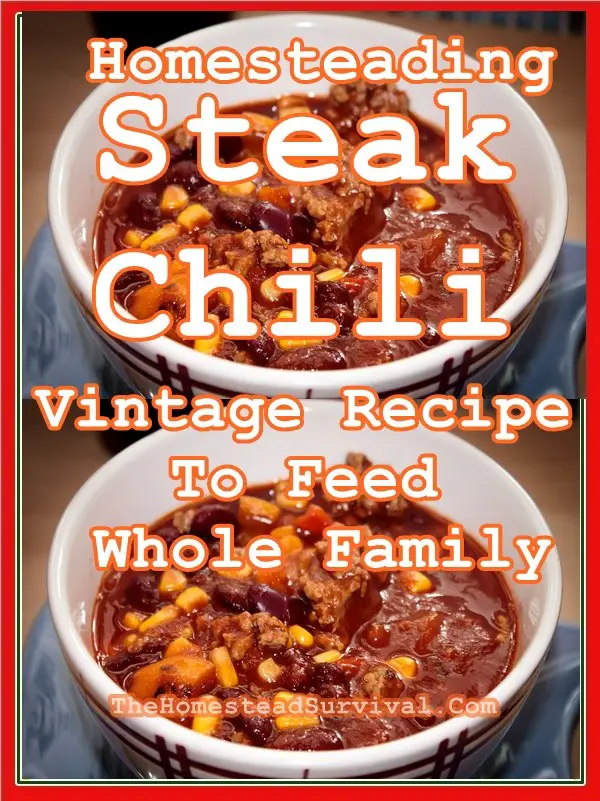 Homesteading Steak Chili Vintage Recipe To Feed Whole Family - Old Fashioned Frugal Cooking