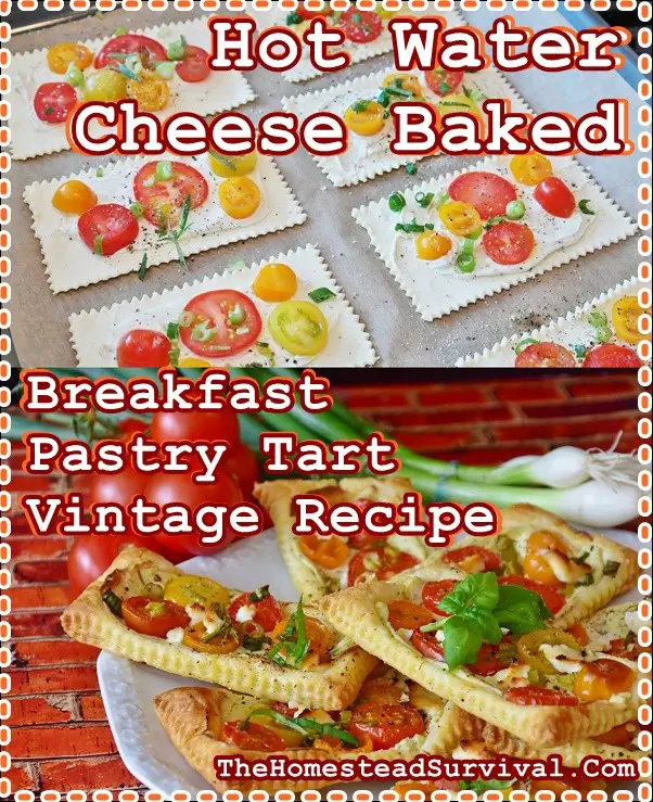 Hot Water Cheese Baked Breakfast Pastry Tart Vintage Recipe - The Homestead Survival - Old Fashioned - Cooking and Baking