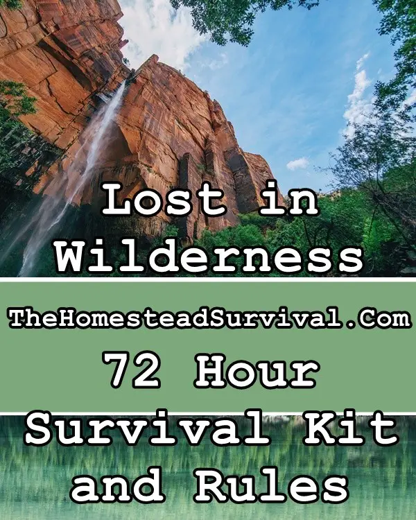 Lost in Wilderness 72 Hour Survival Kit and Rules