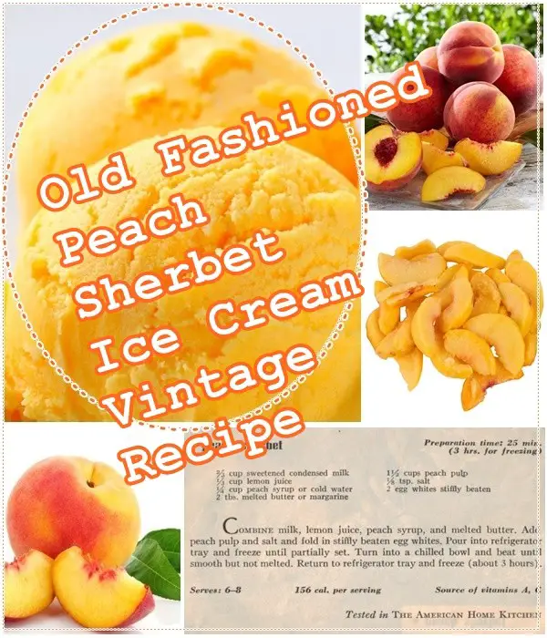 Old Fashioned Peach Sherbet Ice Cream Vintage Recipe - The Homestead Survival - Dessert - Summer