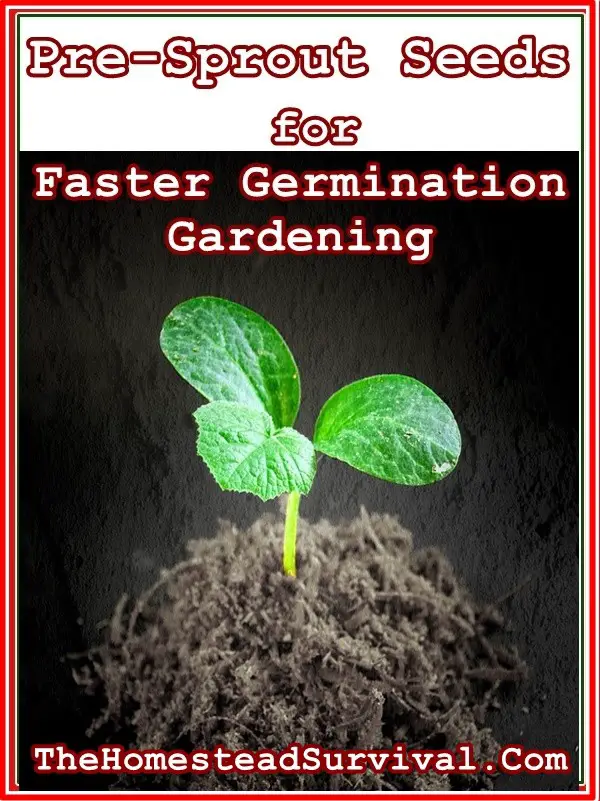 Pre Sprout Seeds for Faster Germination Gardening - The Homestead Survival
