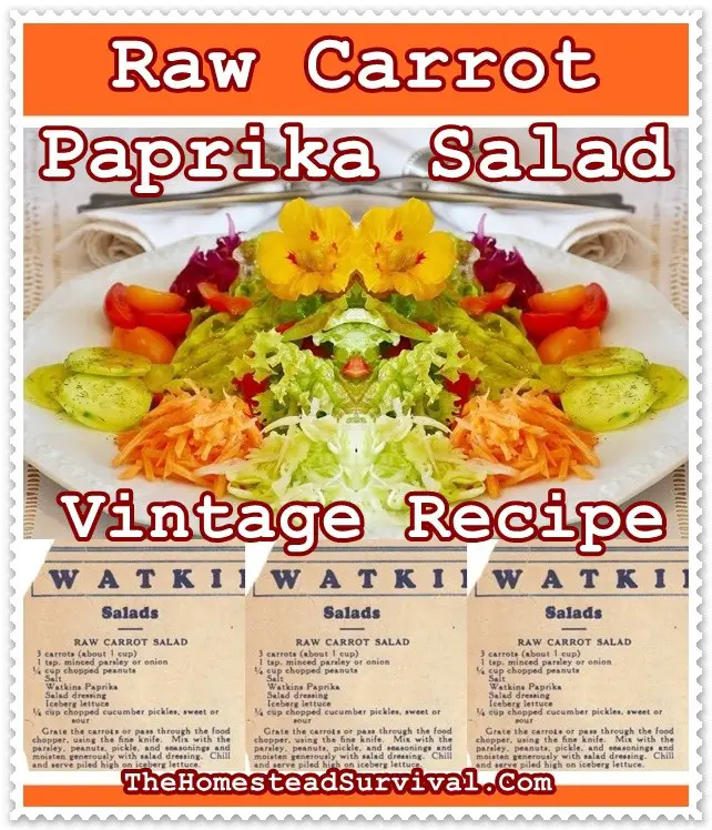 Raw Carrot Paprika Salad Vintage Recipe - The Homestead Survival - Retro Cooking 