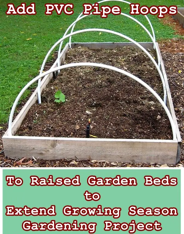 Add PVC Pipe Hoops To Raised Garden Beds to Extend Growing Season Gardening Project 