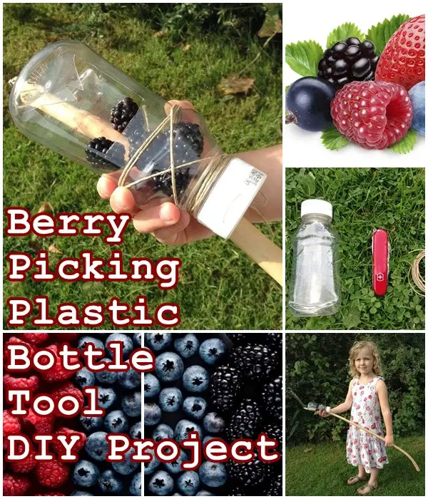 Berry Picking Plastic Bottle Tool DIY Project - Berries - Gardening - Wild Food Foraging