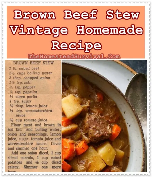 Brown Beef Stew Vintage Homemade Recipe - The Homestead Survival - Old Fashioned Cooking