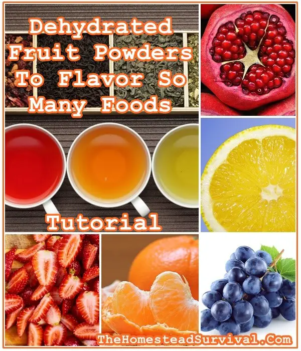 Dehydrated Fruit Powders To Flavor So Many Foods Tutorial Recipe - The Homestead Survival - Food Storage