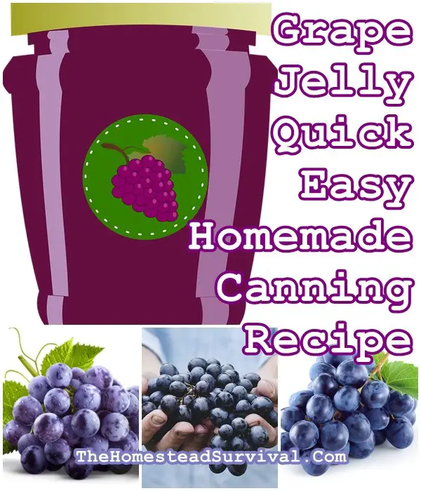 Grape Jelly Quick Easy Homemade Canning Recipe - The Homestead Survival - Frugal Food Storage