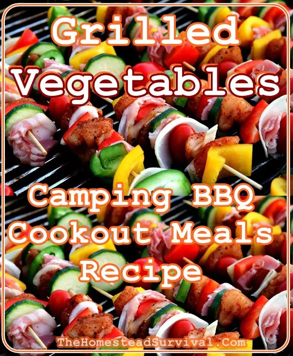 Grilled Vegetables Camping BBQ Cookout Meals Recipe - The Homestead Survival - Tin Foil Packets