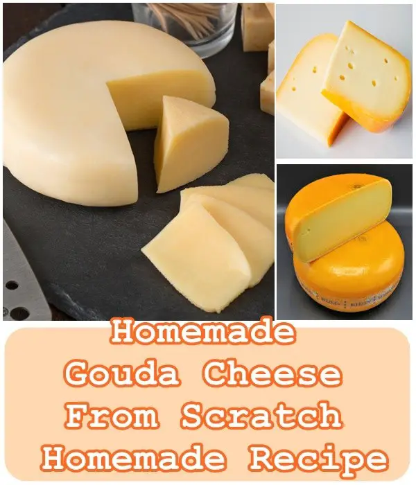 Homemade Gouda Cheese from Scratch Homemade Recipe