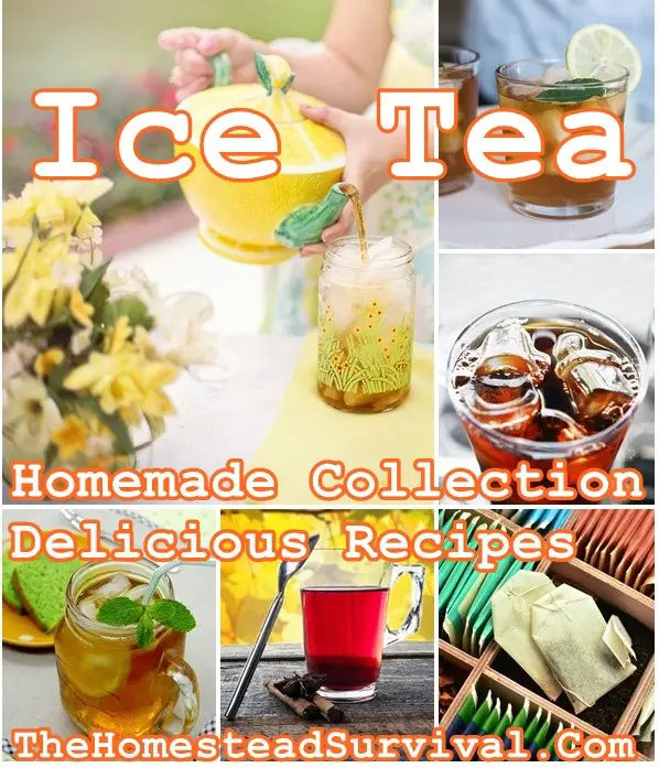 Ice Tea Homemade Collection Delicious Recipes - The Homestead Survival