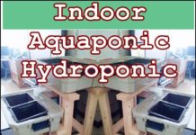 Indoor Aquaponic Hydroponic Food Production System DIY Project - The Homestead Survival - Gardening