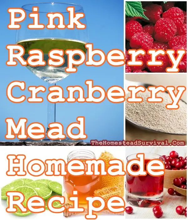 Pink Raspberry Cranberry Mead Homemade Recipe - The Homestead Survival 