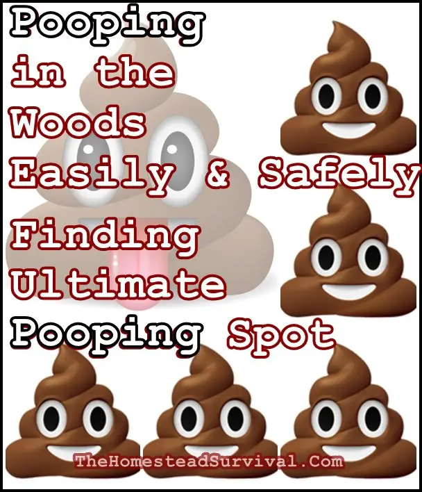 Pooping in the Woods Easily and Safely - Finding Ultimate Pooping Spot - The Homestead Survival