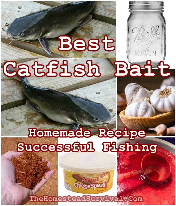 Best Catfish Bait Homemade Recipe for Successful Fishing - The Homestead Survival