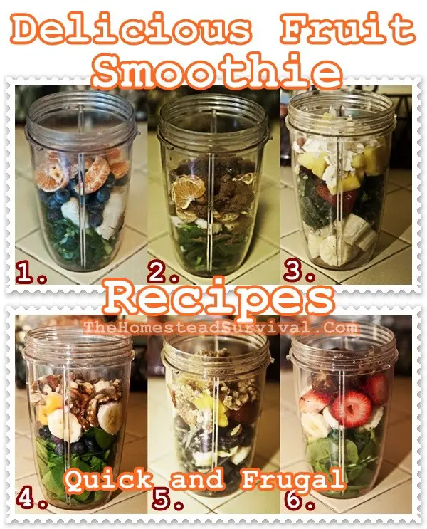 Delicious Fruit Smoothie Recipes - Quick and Frugal - Smoothies and Juicing 