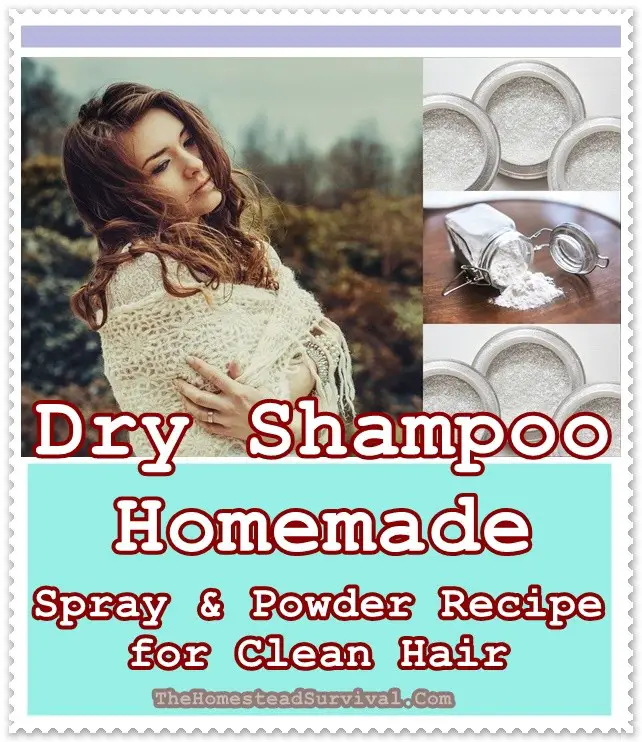 Dry Shampoo Homemade Spray and Powder Recipe for Clean Hair