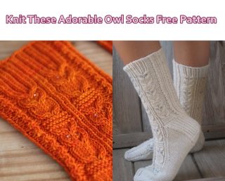 Knit These Adorable Owl Socks Free Pattern - The Homestead Survival
