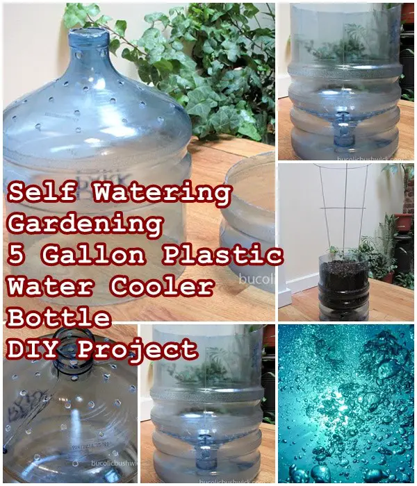 Self Watering Gardening 5 Gallon Plastic Water Cooler Bottle DIY Project - The Homestead Survival - Gardening