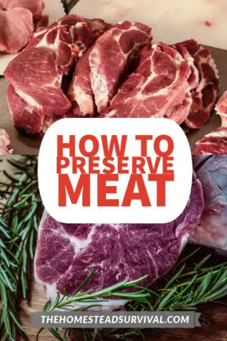 5 Ways How to Preserve Meat - The Homestead Survival