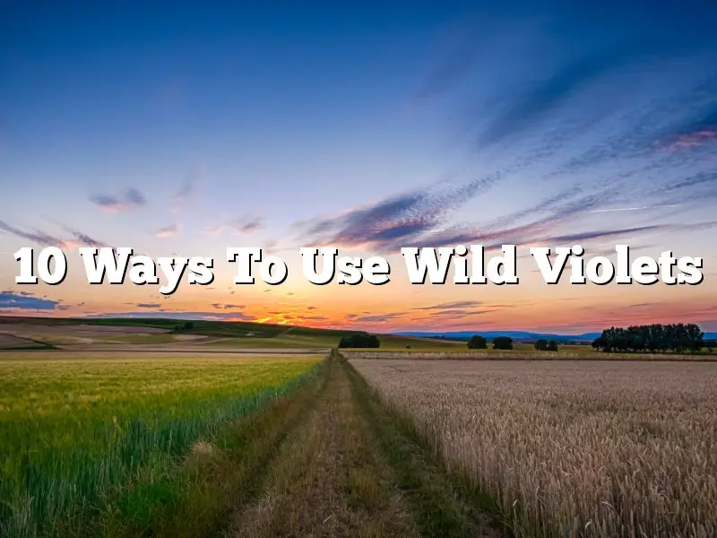 10 Ways To Use Wild Violets