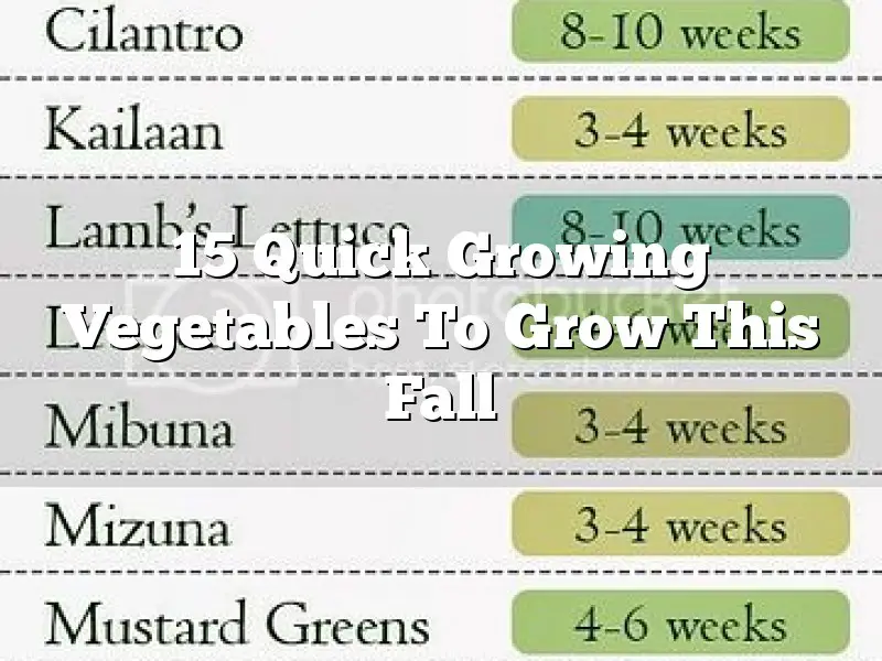 15 Quick Growing Vegetables To Grow This Fall
