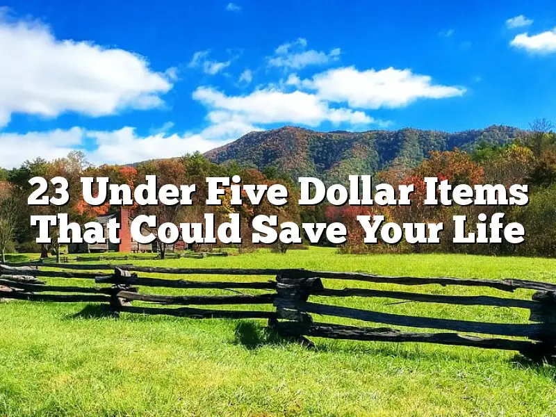 23 Under Five Dollar Items That Could Save Your Life