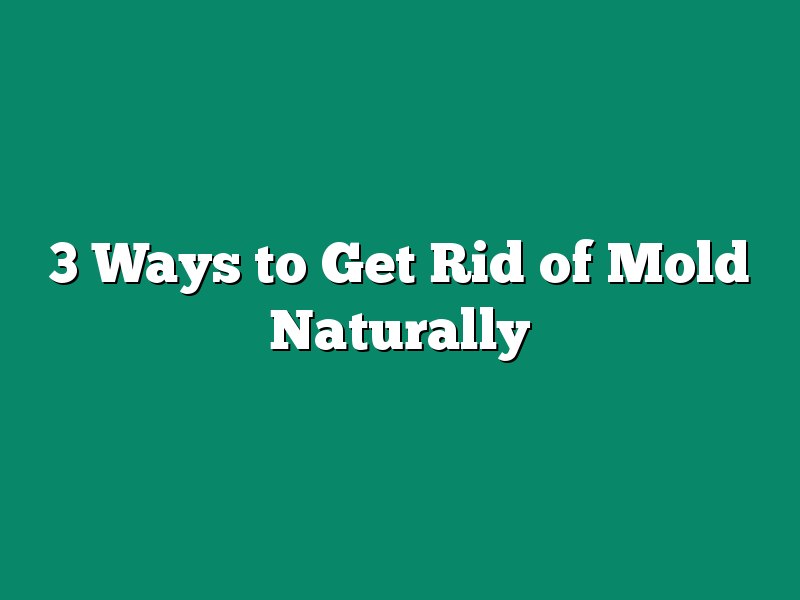 3 Ways to Get Rid of Mold Naturally