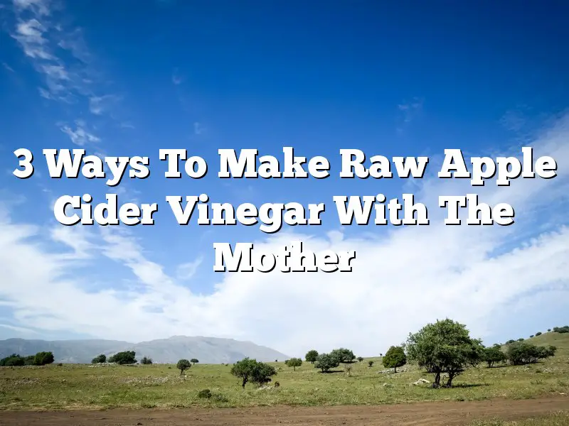 3 Ways To Make Raw Apple Cider Vinegar With The Mother