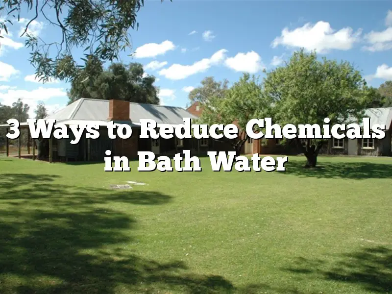 3 Ways to Reduce Chemicals in Bath Water