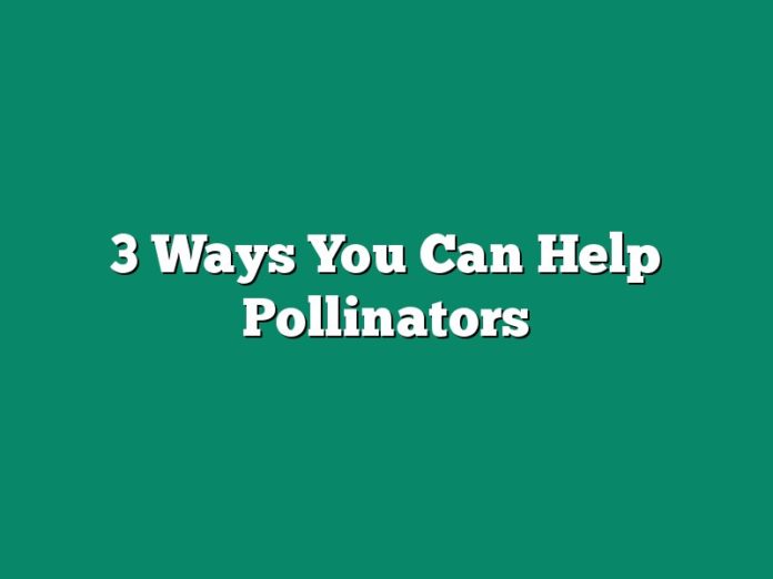 3 Ways You Can Help Pollinators