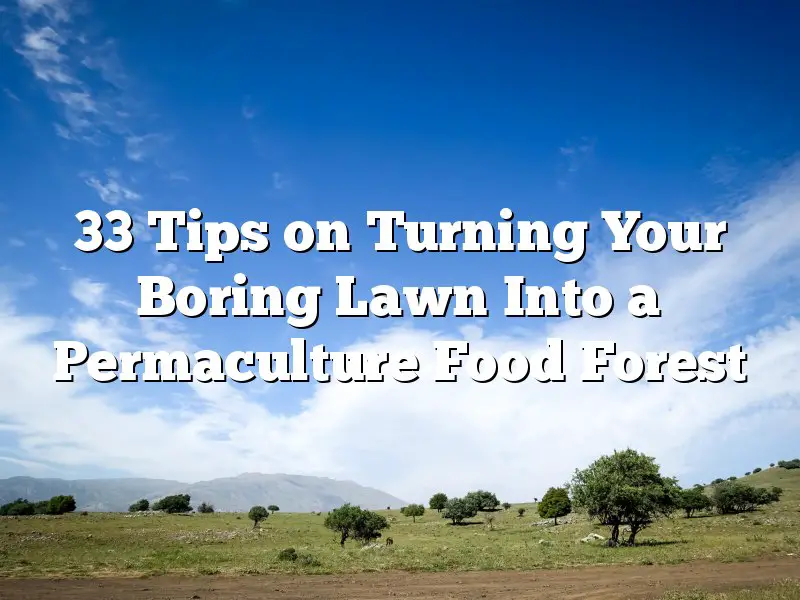 33 Tips on Turning Your Boring Lawn Into a Permaculture Food Forest